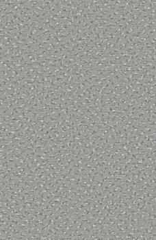 Preview: Rechteckbild vom Alexis